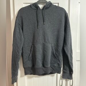 Gray Champion Hoodie